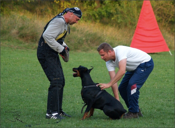 Summer training camp - Jelenec - 2007